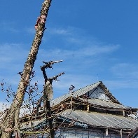 向死而生x