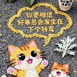 $PI  The air force has already entered the market.