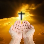 千万别碰山寨币