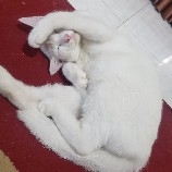 $FHE see? wait for eth and btc dmp, and this coin will big red