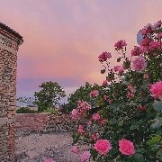 $PI  I'll get it back to you in a day or two