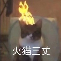 大大大大大大大大