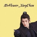MrFlower_XingChen