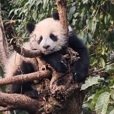 $ETH  Bottom fishing, bottom fishing, 2000 tonight