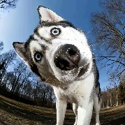 Many people don't lose in the market  
They lose because life is too hard  
So hard that  
They can't wait to make money slowly  
So hard that they have to  
Bet their lives in the market  
Greed is just a surface  
Suffering is the root cause  
#XAU #btc #eth 