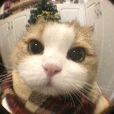 1InvestmentNotGambling1