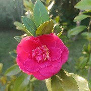 币圈老韭菜 10年