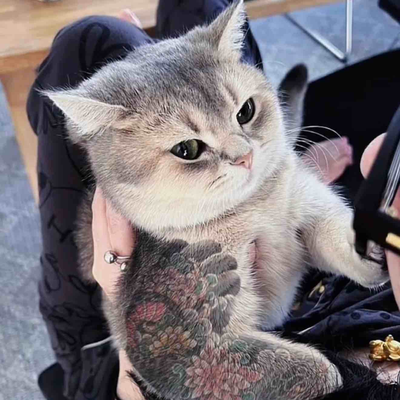 湘江河畔重相逢