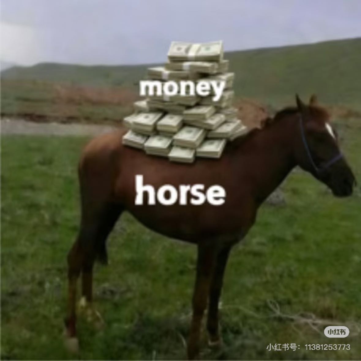 Horsemoney