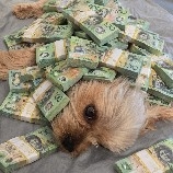 Stir-FriedVegetablesAre