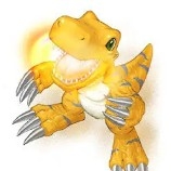 Stir-FriedVegetablesAre