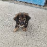 #PI  will definitely break 1 before the New Year