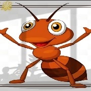 host_avatar