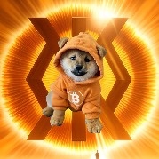 BTCDOG