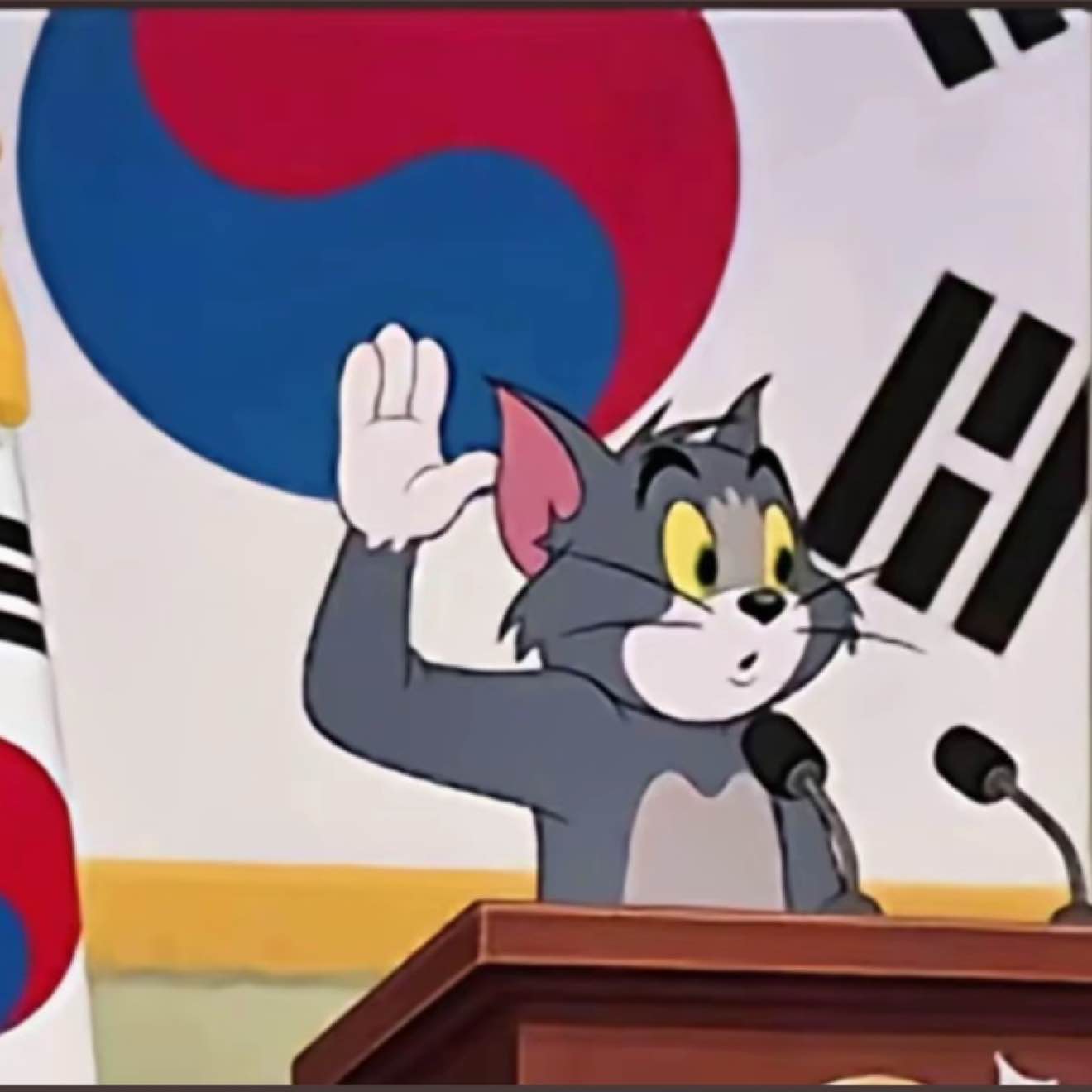 天才交易员臭几把