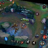 TurtleTurtle10Times10Times