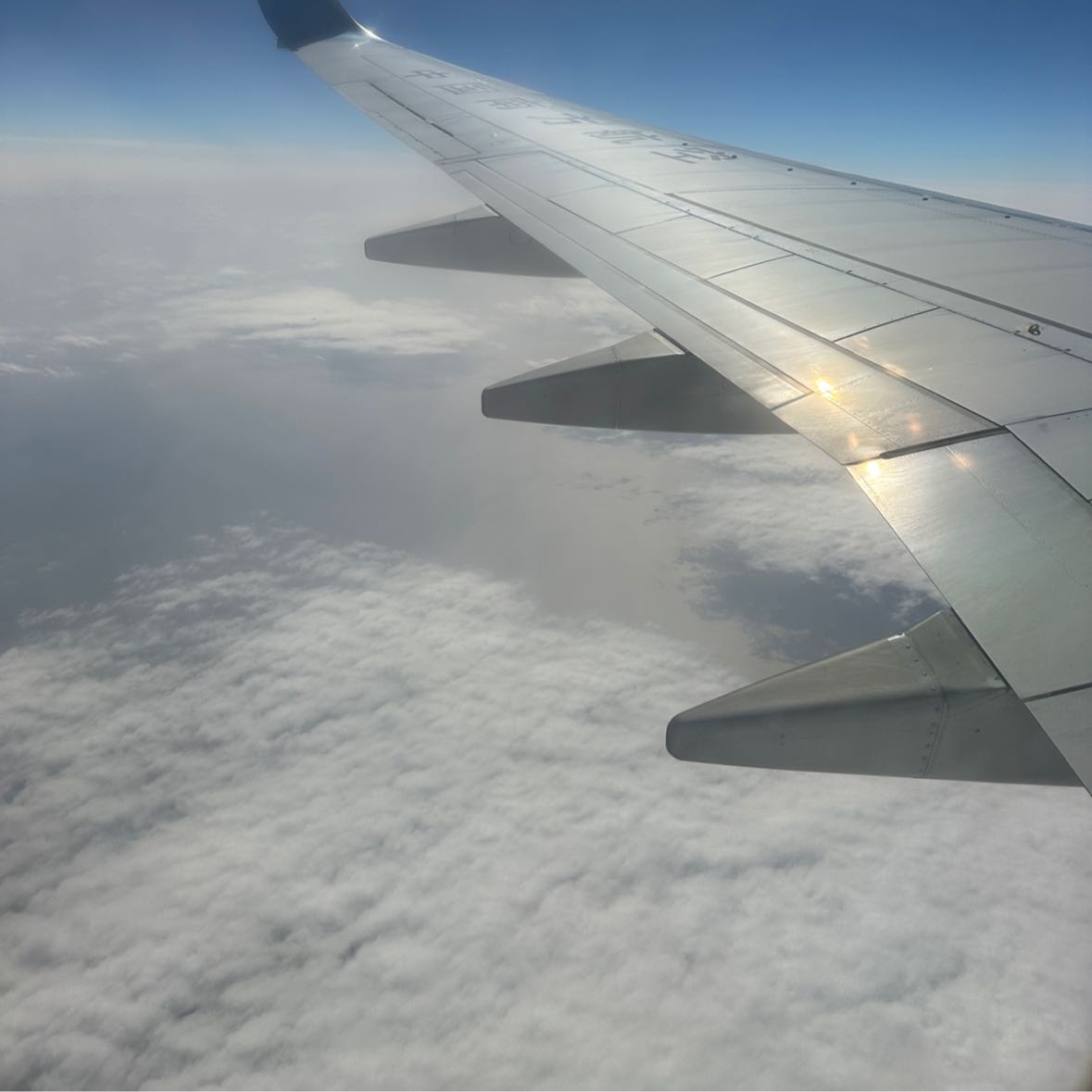 CanIBringAlcoholOnThePlane?