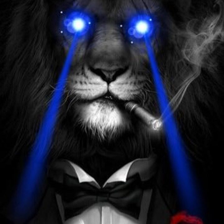 Quick Alpha 🔥   Waitlist: Counterfun   🔍 Register :   - Submit X Username - Enter Airdrop SOL Address - Done 