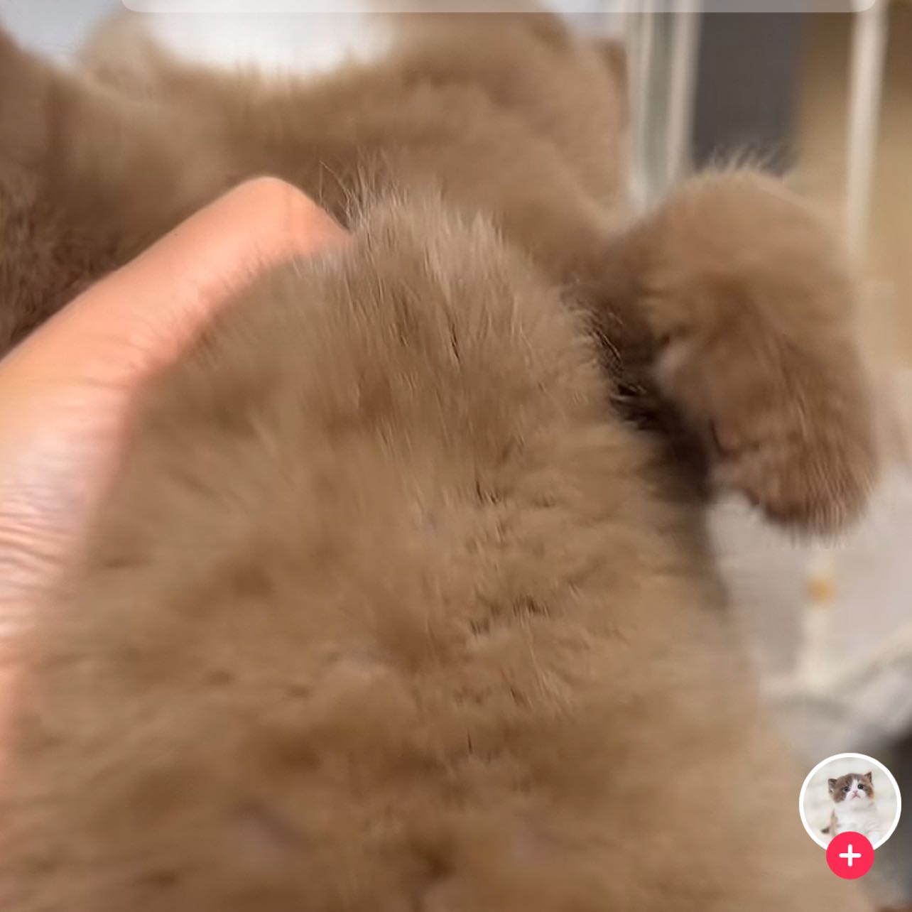 GrowingTowardsTheSun