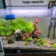 平淡无奇的心态