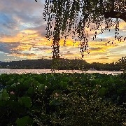 $SOL  likes the gradual decline and it will turn into endless gradual decline