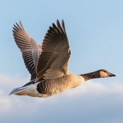 Set a small goal first, double it in a month. $BTC 