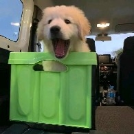 诚信快捷安全黑资报警