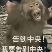 I'mAStudent,CutMeSomeSlack