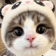 HaoNanChenHappyNewYearAnd