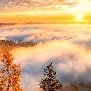 When the value of #PI  drops to around 0.0, the number of people entering the Chinese community will increase.