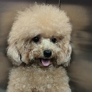 FuyouASoarsStraightUp