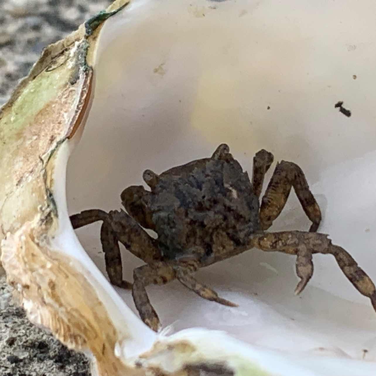 $BTC  74000～75000 looks stable now. Next is the challenge to 80500. Let's go, let the bull market come back quickly.