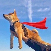 The following are the key time points when trading opportunities are most likely to arise daily:
Currently, according to standard time:
First, the 5:30-6:30 AM window is when North American and Asian markets converge, making it prone to trading opportunities, commonly known as the "Urination Market" ;
Between 9:45-10:30 AM during the morning session, check for small long/short trading opportunities related to double bottoms or double tops from the early morning;
The Eurasian midday session is recommended to be ignored directly, as European market presence is too weak;
Afternoon times around 17:30/18:45/19:45/20:30/21:35 are all points where trading opportunities are likely to occur. It’s not necessary to trade exactly at these times, but these are the moments most associated with market activity and potential opportunities;
Evening between 23:45 and 1:30-3:00!
During these time points, especially during sharp rises or falls, reverse betting is common. Particularly before key data releases, the more the market moves opposite to expectations, the higher the success rate of reverse betting;
By studying Brother Sao’s regular live streams, observing more, asking questions, and understanding market manipulation, grasping the market makers’ moves is just around the corner!
This doesn’t mean these time points guarantee 100% success, but when combined with market trends and macroeconomic trends, the success rate can be very high. Just look at Brother Sao’s strategies;
There’s definitely no 100% success rate, nor will there be perpetual profits, but maintaining an 80% win rate, offsetting losses with gains, and steadily accumulating profits over time is entirely achievable!
‍#现货黄金再创新高 $BTC $GT $ETH