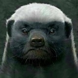 AOnce-In-A-LifetimeEncounter1