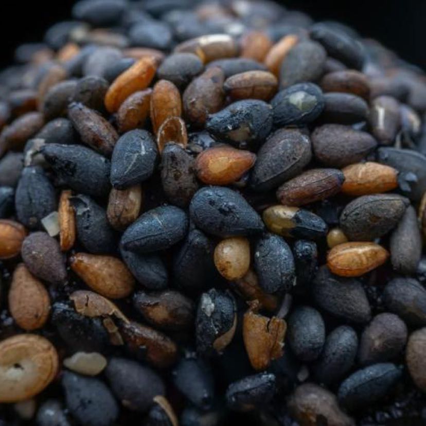 $BTC  The robot made $4,000 in the Bitcoin market using the new AI terminal in 5 minutes? - He earned $4,000 by trading in the Bitcoin 15-minute market in just 5 minutes - His total profit and loss amount to $2 million - He has made 26,000 predictions - You can easily replicate his trades with the new AI terminal