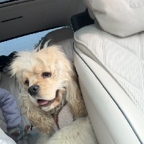 $ETH  No need to keep commenting on my posts, brothers who follow the trades. Just check in every day, that's enough. Your constant comments are really affecting my mindset.