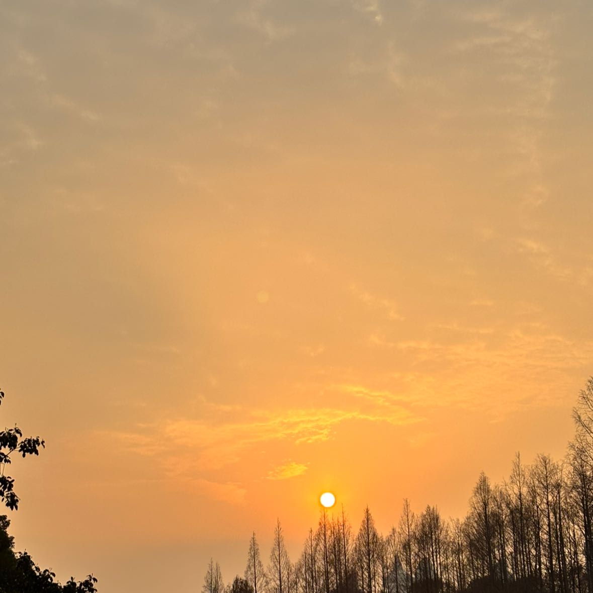 只想回本20206版