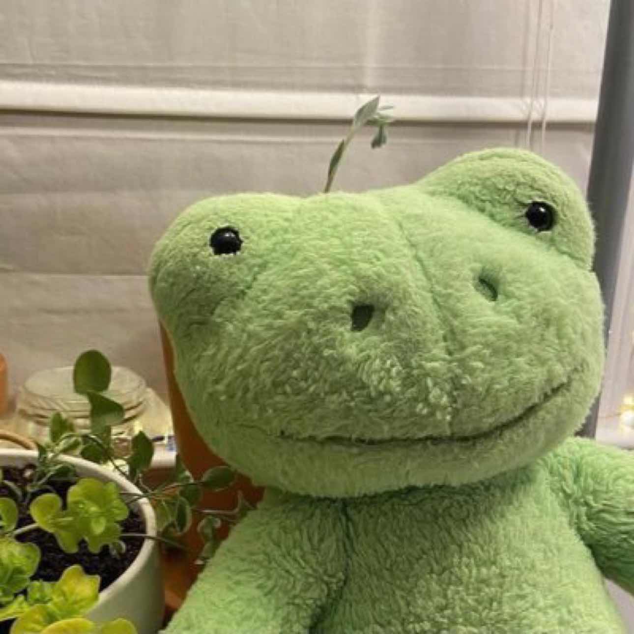 小贤Xian.Eth-Merlin