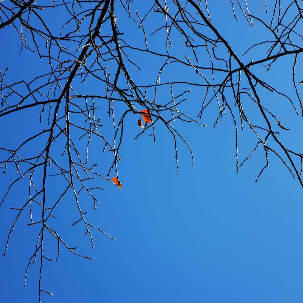 $DOGE Having an extra hand, it should be unable to fall further. Low leverage, low risk!!!#比特币震荡走弱  ‌