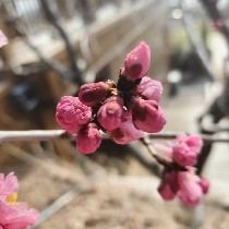 What's going on with #PI  liveness detection always being like this?