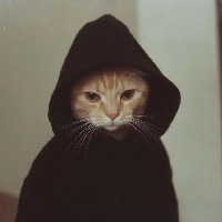 MeowNakamoto