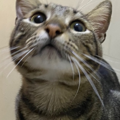 #CelebratingNewYearOnGateSquare 
The total staking volume in Gate's SOL mining product has reached 516,600 SOL, with an annual yield rate of 11%. Users who stake can earn GTSOL, which supports instant redemption. The platform also offers various staking options in different cryptocurrencies, with annual yield rates of GUSD 3.20%, BTC 5.49%, ETH 5.81%, and USDT 3.44%.