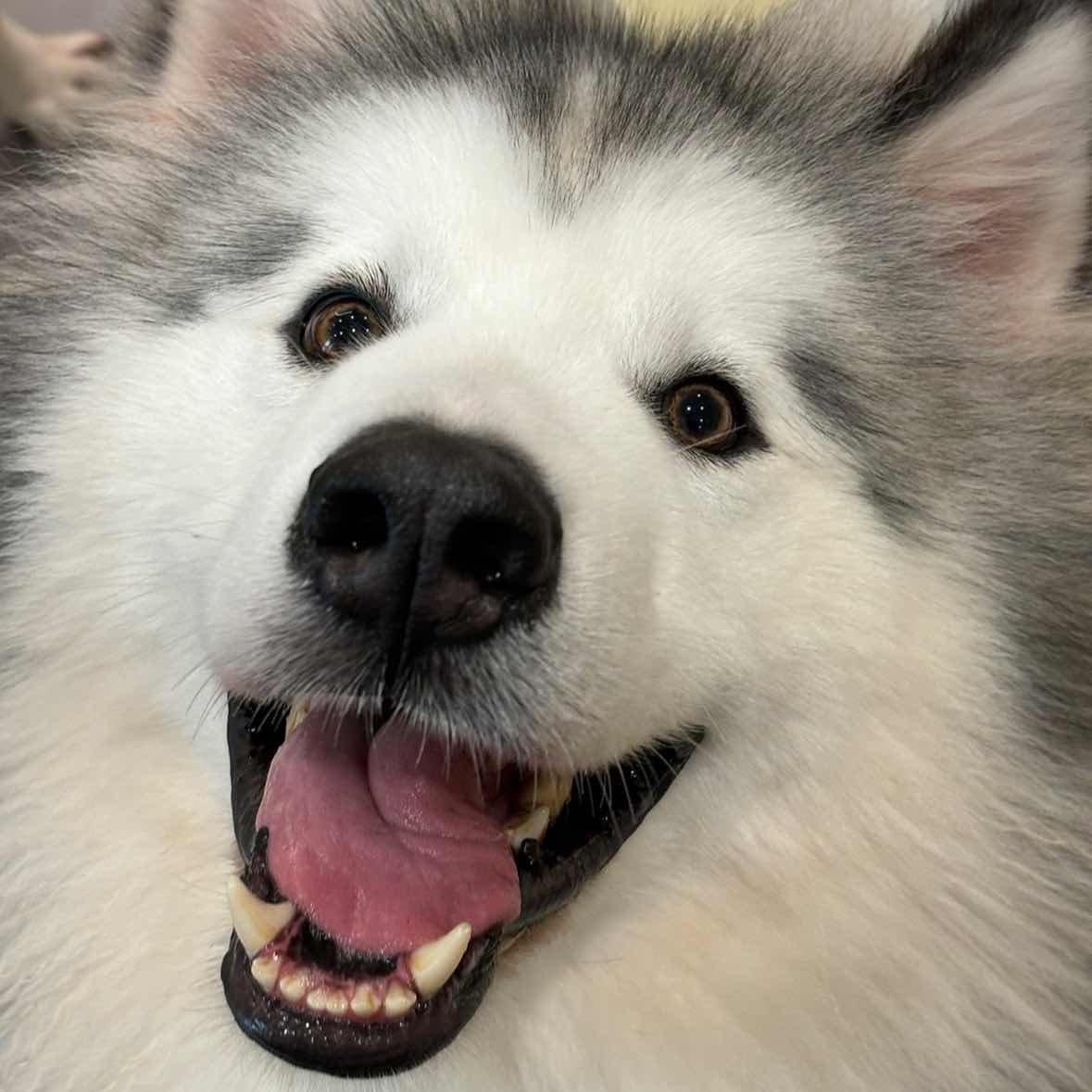 Recent market dynamics and capital flows:  
.ETH total network 24-hour contract trading volume rose by 38.22%, reaching $46.297 billion. US spot ETH ETFs saw a net outflow of $50.4 million yesterday.
Short-term capital shows some outflow, with whale movements:  
.Matrixport-associated whales opened another 30,000 ETH long position with 15x leverage, and currently hold a total of 58,000 ETH long positions (, worth about $130 million ). Some whales are showing floating losses, including the on-chain largest long address tied to BIT.
At present, floating losses are about $110,000 (-5%), with liquidation risk:  
If ETH falls below $2,174, the liquidation strength of cumulative long positions on major CEXs will reach $785 million;  
If ETH rises above $2,399, the liquidation strength of cumulative short positions will reach $759 million.