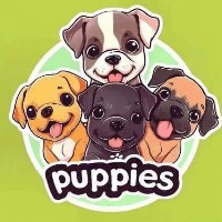Puppies was launched on February 11, 2024, inspired by Elon Musk’s tweet “I love puppies.” It caused a sensation immediately after launch, but the project team subsequently dumped and exited. Holders from more than 60 countries in the international community are jointly building this meme coin, aiming to create a 10,000x crypto legend. Puppies Ethereum contract:
0xcf91b70017eabde82c9671e30e5502d312ea6eb2
Puppies has been added and liked multiple times by Elon Musk’s mother. Hurry and get in at the bottom.