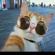 #PI  No matter what! There's just no trading volume.