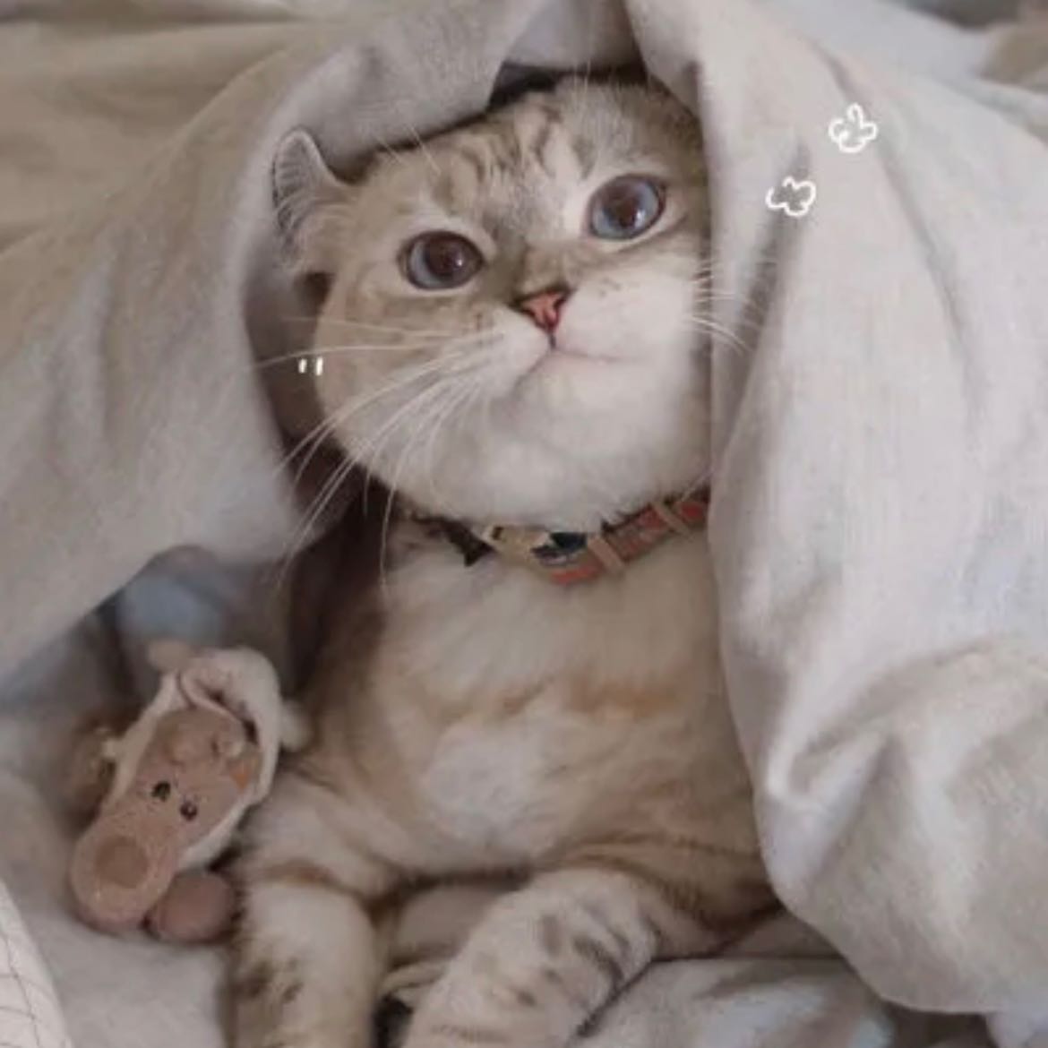 MakingMoneyToSupportTheFamily2