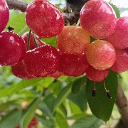 大浪淘沙淘到一无所有