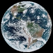 新鲜韭菜思密达