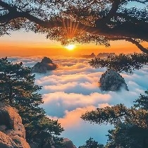 Ethereum today's order placement levels