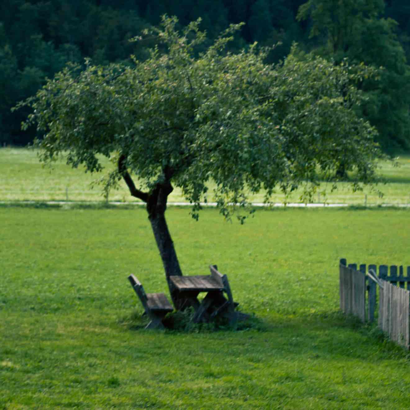 Only trade, not gamble